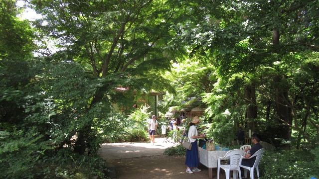 f:id:cafeee:20190725223539j:plain