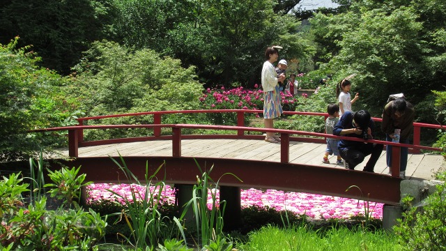 f:id:cafeee:20190725223554j:plain