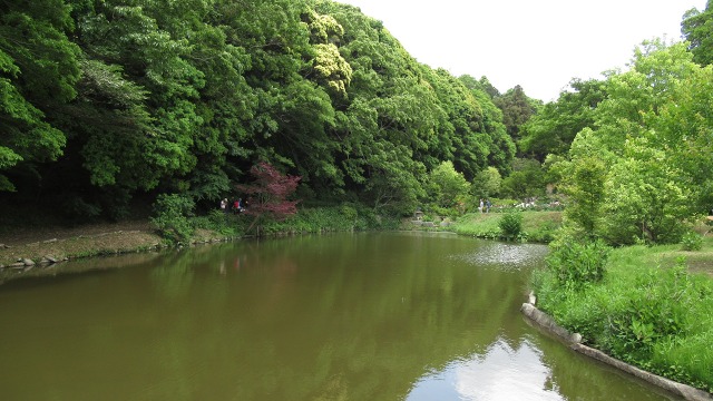 f:id:cafeee:20190725223723j:plain