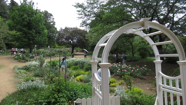 f:id:cafeee:20190725223752j:plain