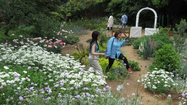 f:id:cafeee:20190725223838j:plain