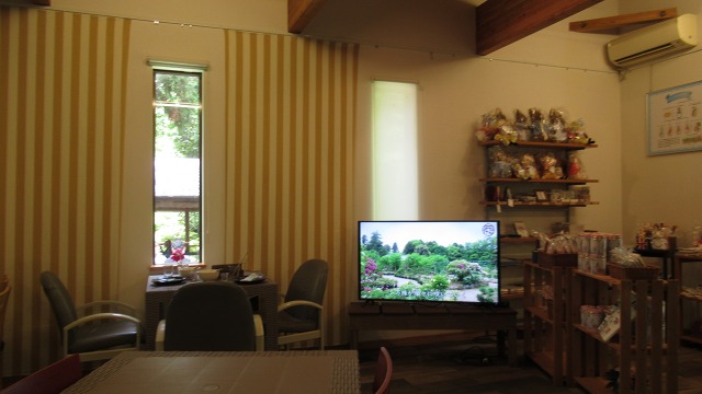 f:id:cafeee:20190725224021j:plain