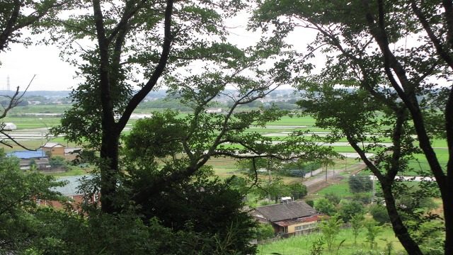 f:id:cafeee:20190810213653j:plain f:id:cafeee:20190810213653j:plain