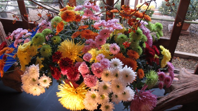 f:id:cafeee:20191031224831j:plain