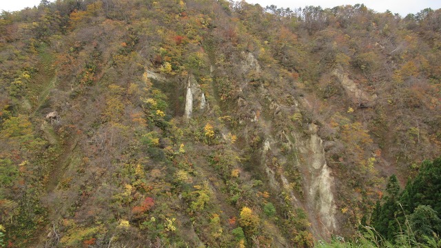 f:id:cafeee:20191110221456j:plain f:id:cafeee:20191110221456j:plain