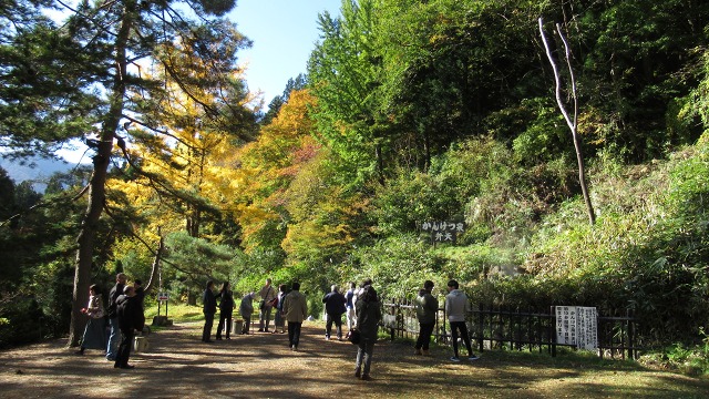 f:id:cafeee:20191122212019j:plain