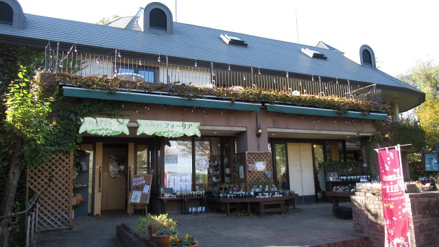 f:id:cafeee:20191201221259j:plain