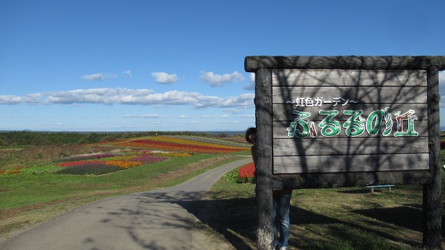 f:id:cafeee:20191201221425j:plain