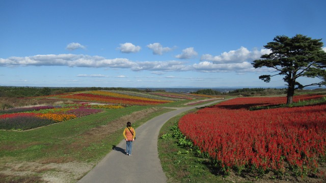 f:id:cafeee:20191201221447j:plain