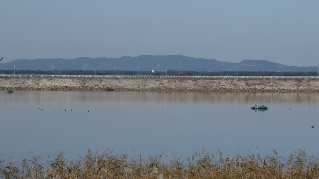 f:id:cafeee:20191214223832j:plain