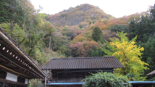 f:id:cafeee:20191217224858j:plain f:id:cafeee:20191217224858j:plain