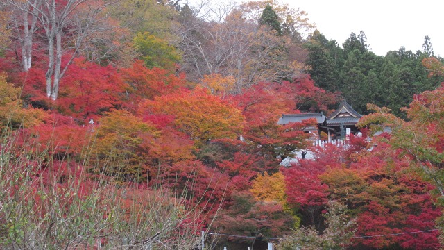 f:id:cafeee:20191223212748j:plain