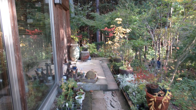 f:id:cafeee:20200102085800j:plain