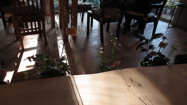 f:id:cafeee:20200102085831j:plain