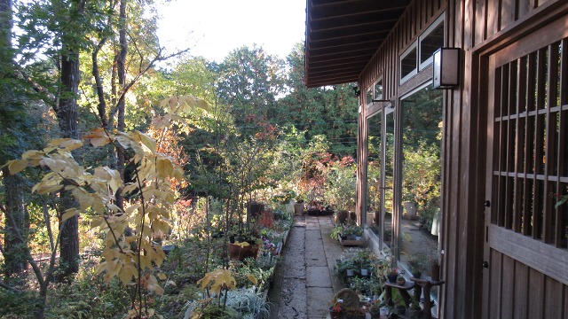 f:id:cafeee:20200102090157j:plain