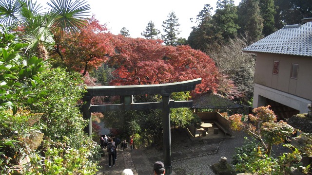 f:id:cafeee:20200112202754j:plain f:id:cafeee:20200112202754j:plain