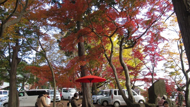 f:id:cafeee:20200112202941j:plain f:id:cafeee:20200112202941j:plain