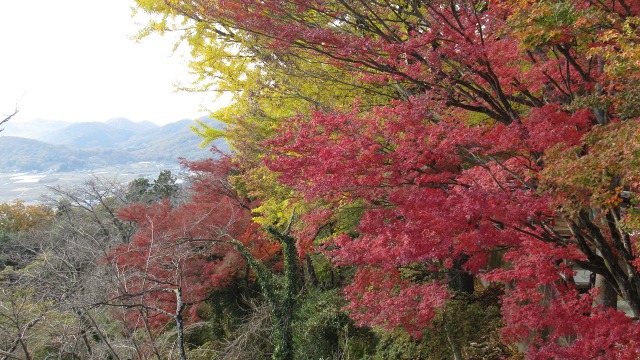 f:id:cafeee:20200112203016j:plain f:id:cafeee:20200112203016j:plain