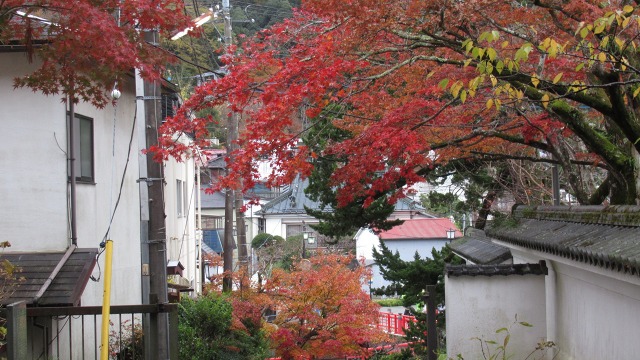 f:id:cafeee:20200125182010j:plain