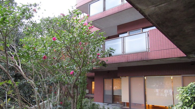 f:id:cafeee:20200206225625j:plain