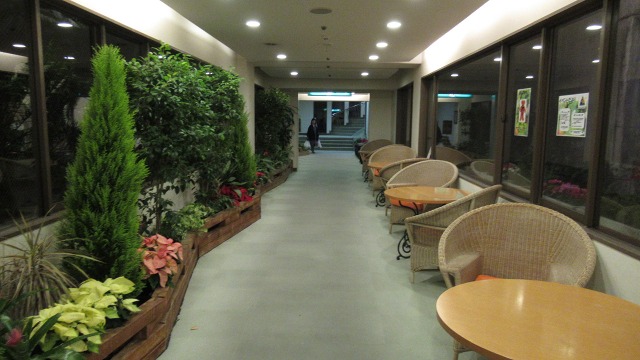 f:id:cafeee:20200206230043j:plain