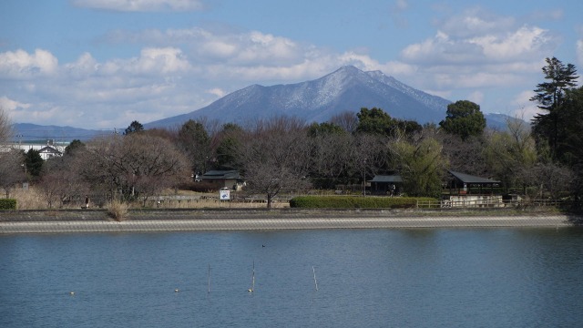 f:id:cafeee:20200505224631j:plain