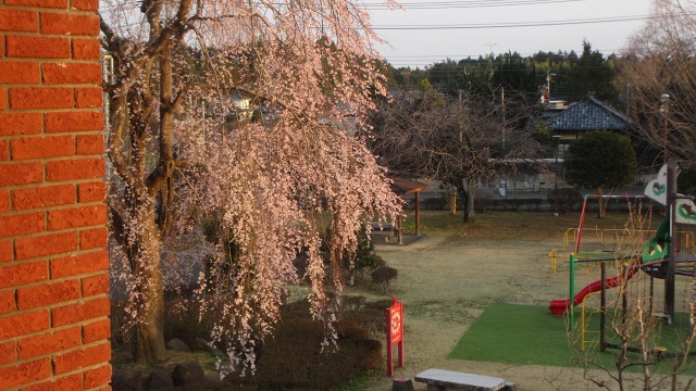f:id:cafeee:20200512090743j:plain