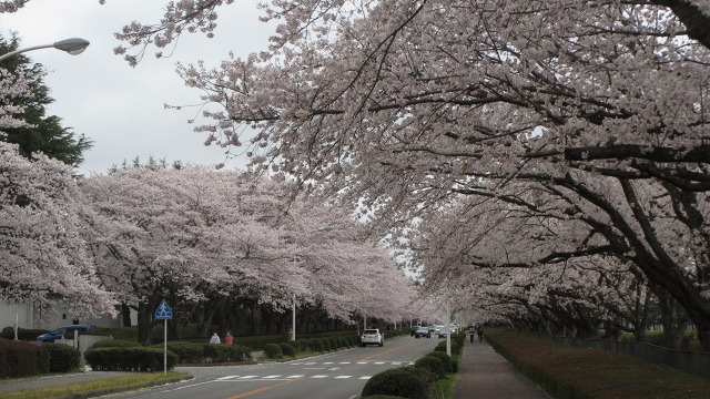 f:id:cafeee:20200514102225j:plain