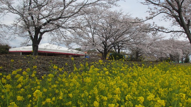f:id:cafeee:20200521203540j:plain