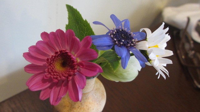 f:id:cafeee:20200521204031j:plain