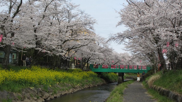 f:id:cafeee:20200521204057j:plain