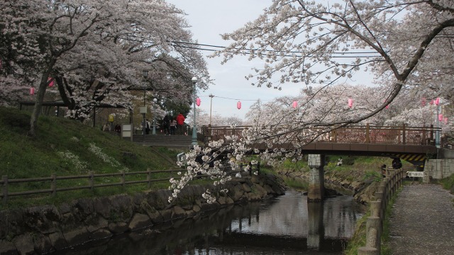 f:id:cafeee:20200521204124j:plain