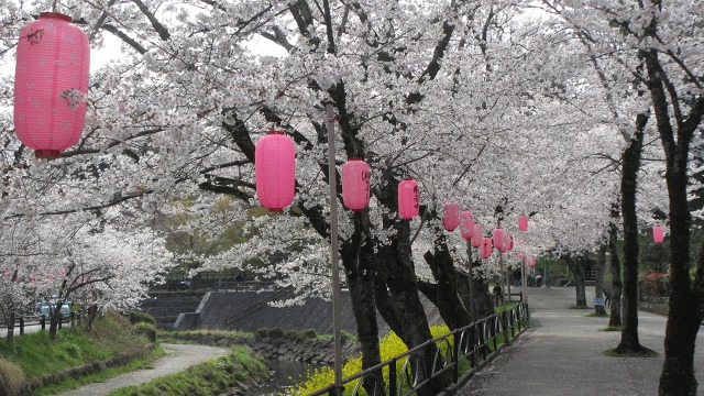 f:id:cafeee:20200521204148j:plain