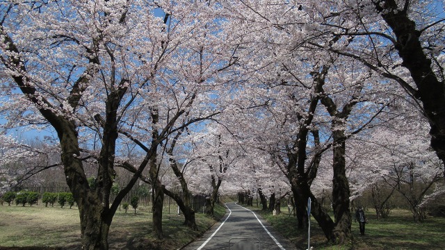 f:id:cafeee:20200614210504j:plain