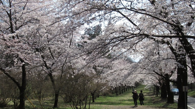 f:id:cafeee:20200614210532j:plain