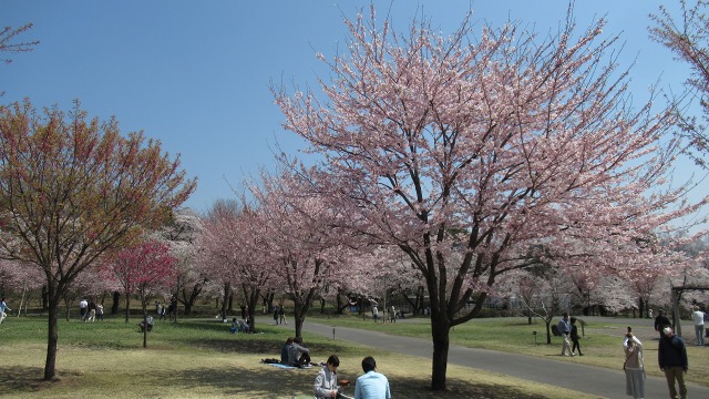 f:id:cafeee:20200614210753j:plain