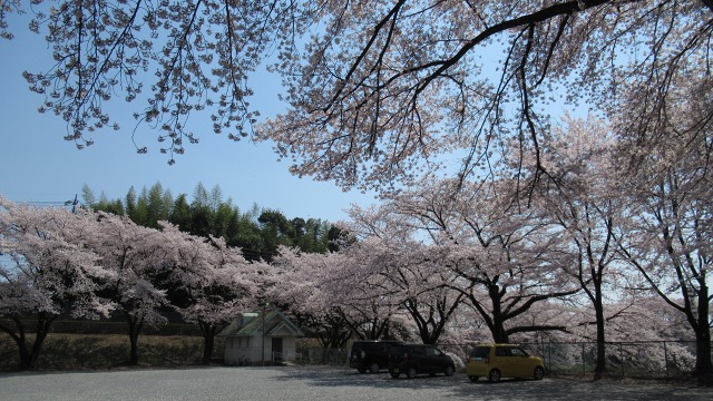 f:id:cafeee:20200614210901j:plain