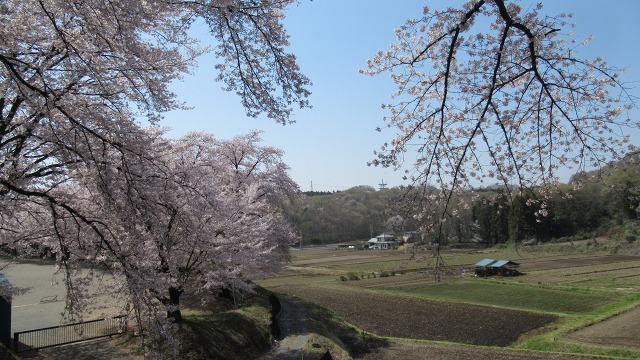 f:id:cafeee:20200614210940j:plain