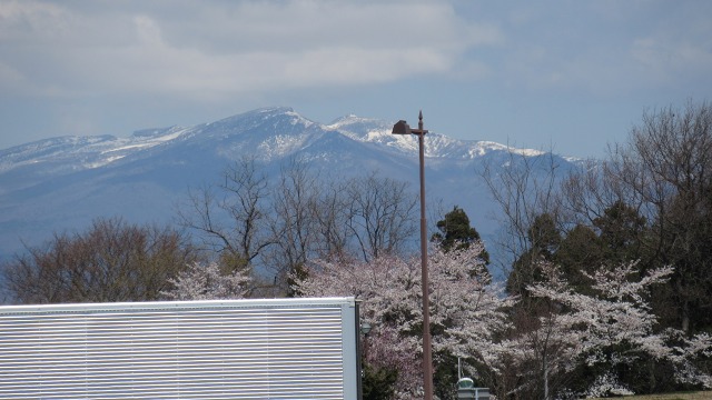f:id:cafeee:20200701215203j:plain f:id:cafeee:20200701215203j:plain