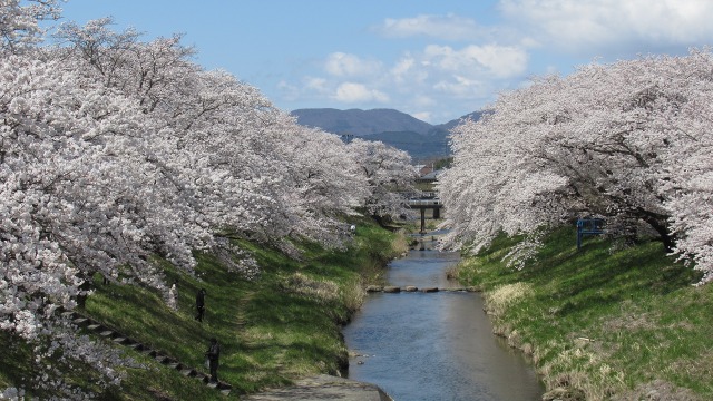 f:id:cafeee:20200701215250j:plain f:id:cafeee:20200701215250j:plain