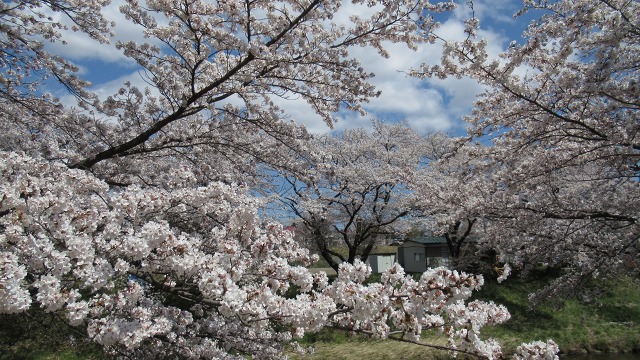 f:id:cafeee:20200701215345j:plain f:id:cafeee:20200701215345j:plain