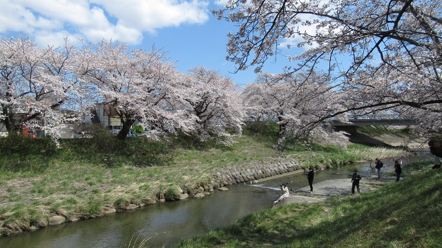 f:id:cafeee:20200701215444j:plain f:id:cafeee:20200701215444j:plain