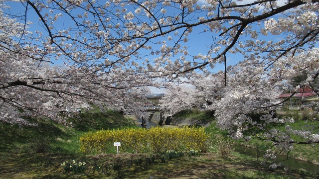 f:id:cafeee:20200701215526j:plain f:id:cafeee:20200701215526j:plain