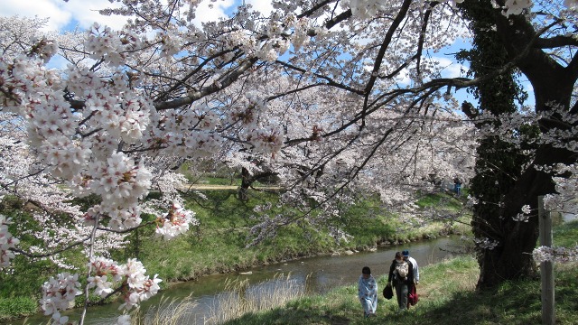 f:id:cafeee:20200701215600j:plain f:id:cafeee:20200701215600j:plain