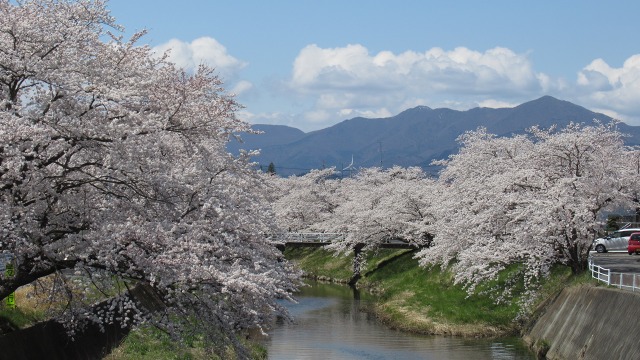 f:id:cafeee:20200701215627j:plain f:id:cafeee:20200701215627j:plain