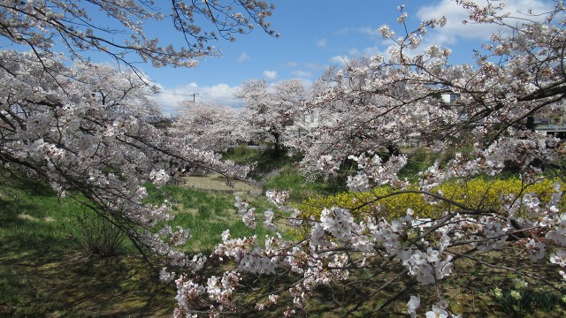 f:id:cafeee:20200701215707j:plain f:id:cafeee:20200701215707j:plain