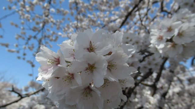 f:id:cafeee:20200701215742j:plain f:id:cafeee:20200701215742j:plain