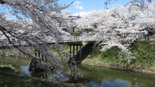 f:id:cafeee:20200701215807j:plain f:id:cafeee:20200701215807j:plain