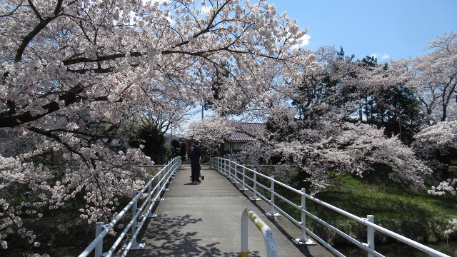 f:id:cafeee:20200701215844j:plain f:id:cafeee:20200701215844j:plain