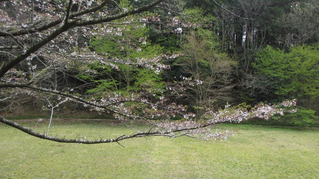f:id:cafeee:20200702212543j:plain